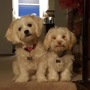 Meet your Posher, Michaela